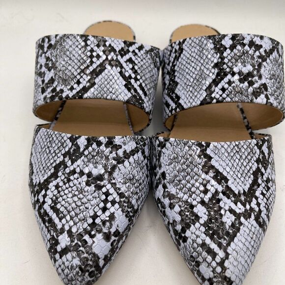 Coconuts by MATISSE Shay Purple Snake Print Pointed Mules 7 NWOB - Picture 3 of 10